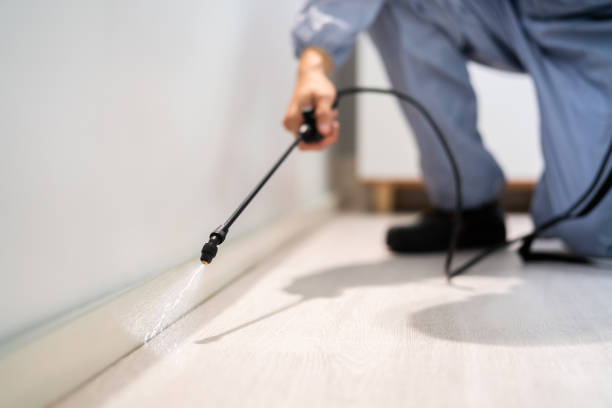Licensed Termite Control service in Terrace Heights, WA - Show Me Pest Control