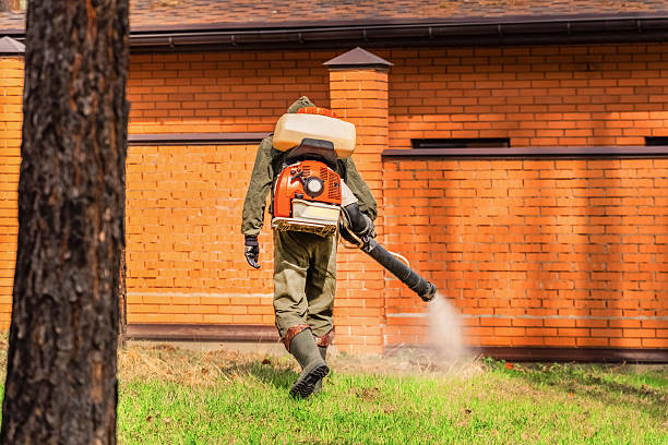 Top rated local Wasp Removal specialists in Terrace Heights, WA